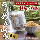 【ふるさと納税】【かねきゅう】五条新右衛門 京風湯葉入りちりめん山椒 40g×6|京都 ちりめん山椒 卸売市場 人気セット[ 京都 京都市中央市場 厳選 ちりめ...