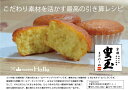 【ふるさと納税】【茶山sweets Halle】《京都産の素材そのまま》蜜玉まどれーぬ | マドレーヌ 蜂蜜 スイーツ 洋菓子 お取り寄せ お土産 グルメ ご当地 ギフト お祝い 内祝い ご家庭用 ご自宅用 京都 京都市