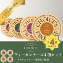 【ふるさと納税】【ヴィーガン&グルテンフリーカフェ『CHOICE』】ヴィーガンチーズ4種セット | 京都 チーズ 健康 アレルギー ヴィーガンチーズ ヴィーガン 乳製品不使用 オーガニック セット チョイス 京都市 京都 チーズ アレルギー対応 乳製品不使用 オーガニック 詰合せ