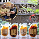 【ふるさと納税】《9月末までの限定寄付額》【加藤みそ】田楽みそ4種セット [ 京都 老舗 西陣 調味料 田楽味噌 人気 おすすめ 発酵食品 おいしい グルメ ギ...