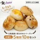 【ふるさと納税】【CHABON】北海道産小麦100%のベーグルお試し5種類10個セット|京都 人気ベーカリー ベーグル おすすめセット [ 人気のベーグル食べ比...