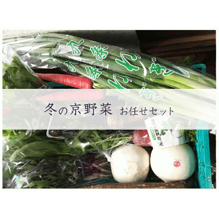 【ふるさと納税】【京野菜・果物 美方屋】創業70年 美方屋厳選!季節の京野菜お任せセット