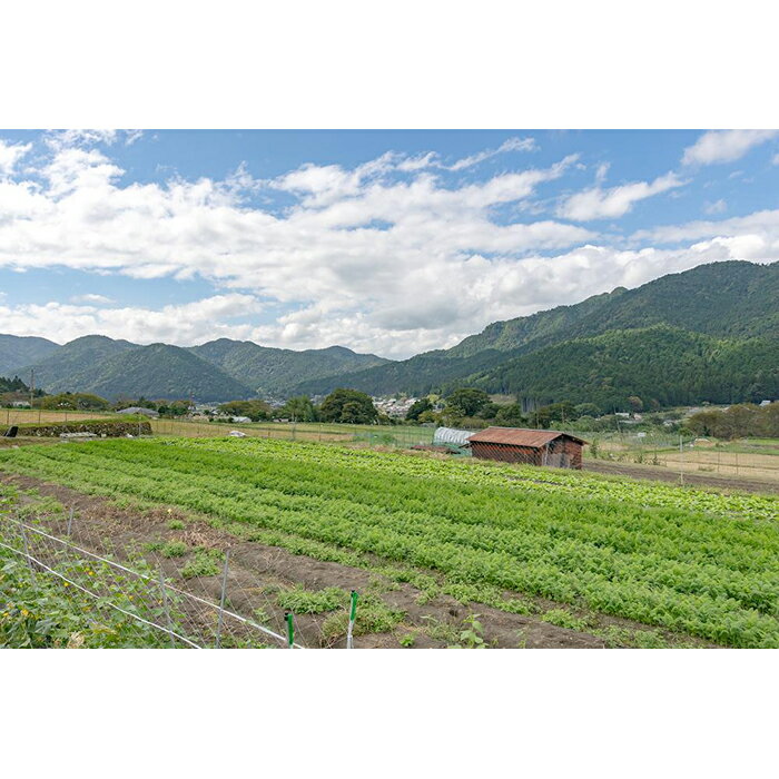 【ふるさと納税】【つくだ農園】京都大原の里山から！旬の有機野菜BOXとジャムセット