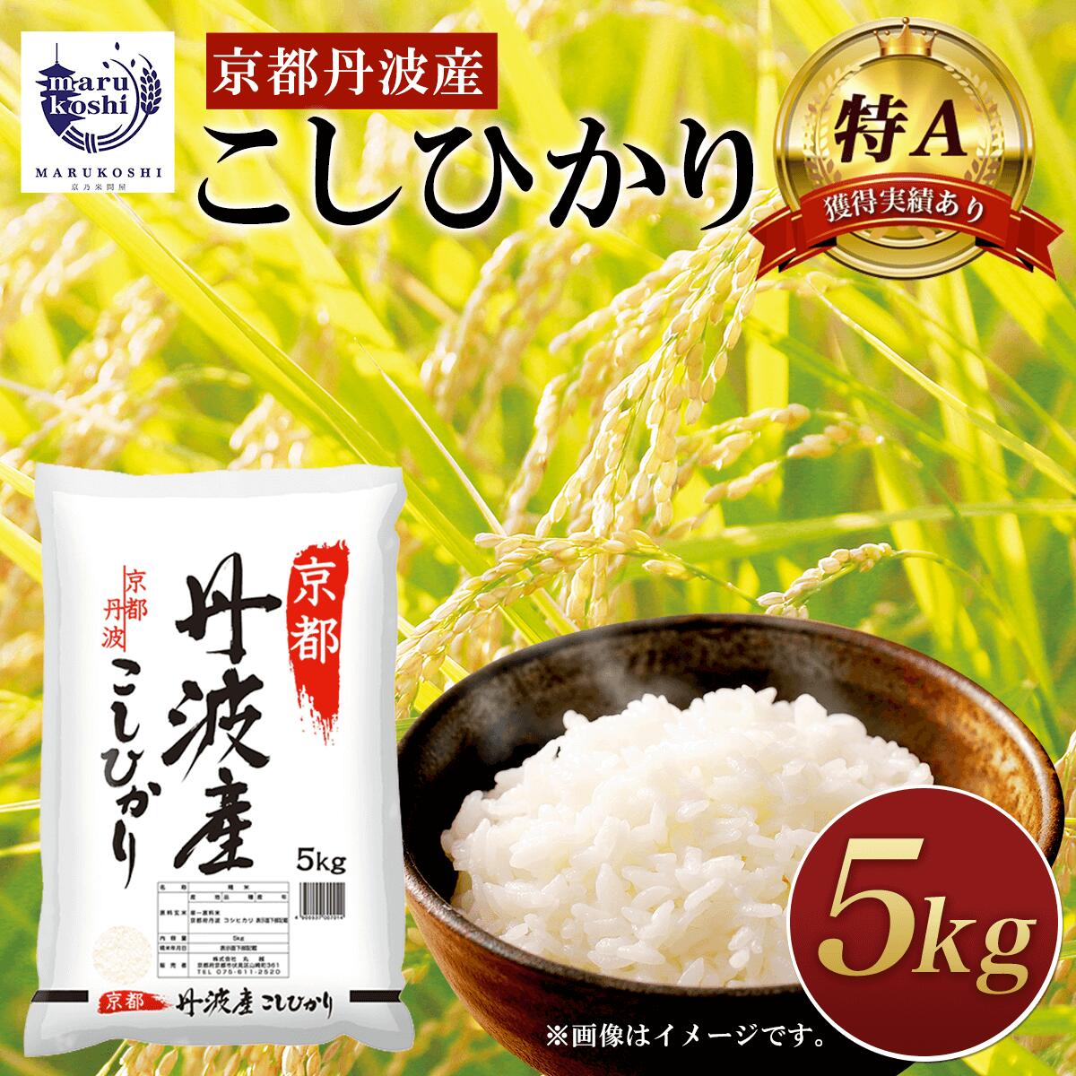 【ふるさと納税】 ＜特A獲得実績あり＞京都丹波産 こしひかり 5kg ふるさと納税 米 こしひかり コシヒカリ こめ 5kg 京都府 福知山市 FCBD002のサムネイル