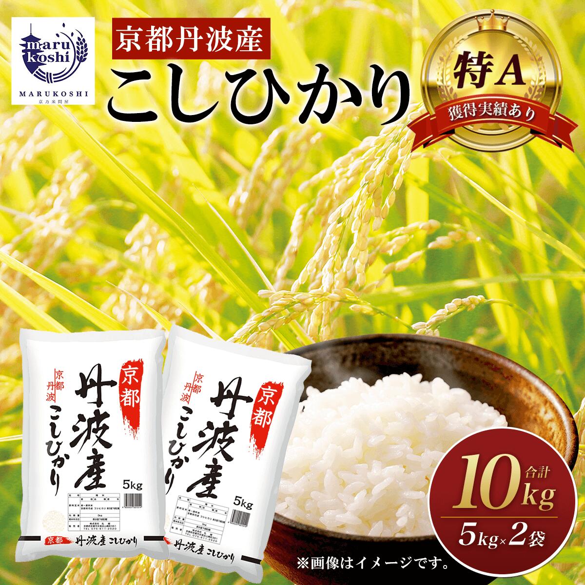 【ふるさと納税】 ＜特A獲得実績あり＞京都丹波産 こしひかり 5kg×2 計10kg ふるさと納税 米 こしひかり コシヒカリ こめ 10kg 京都府 福知山市 FCBD004