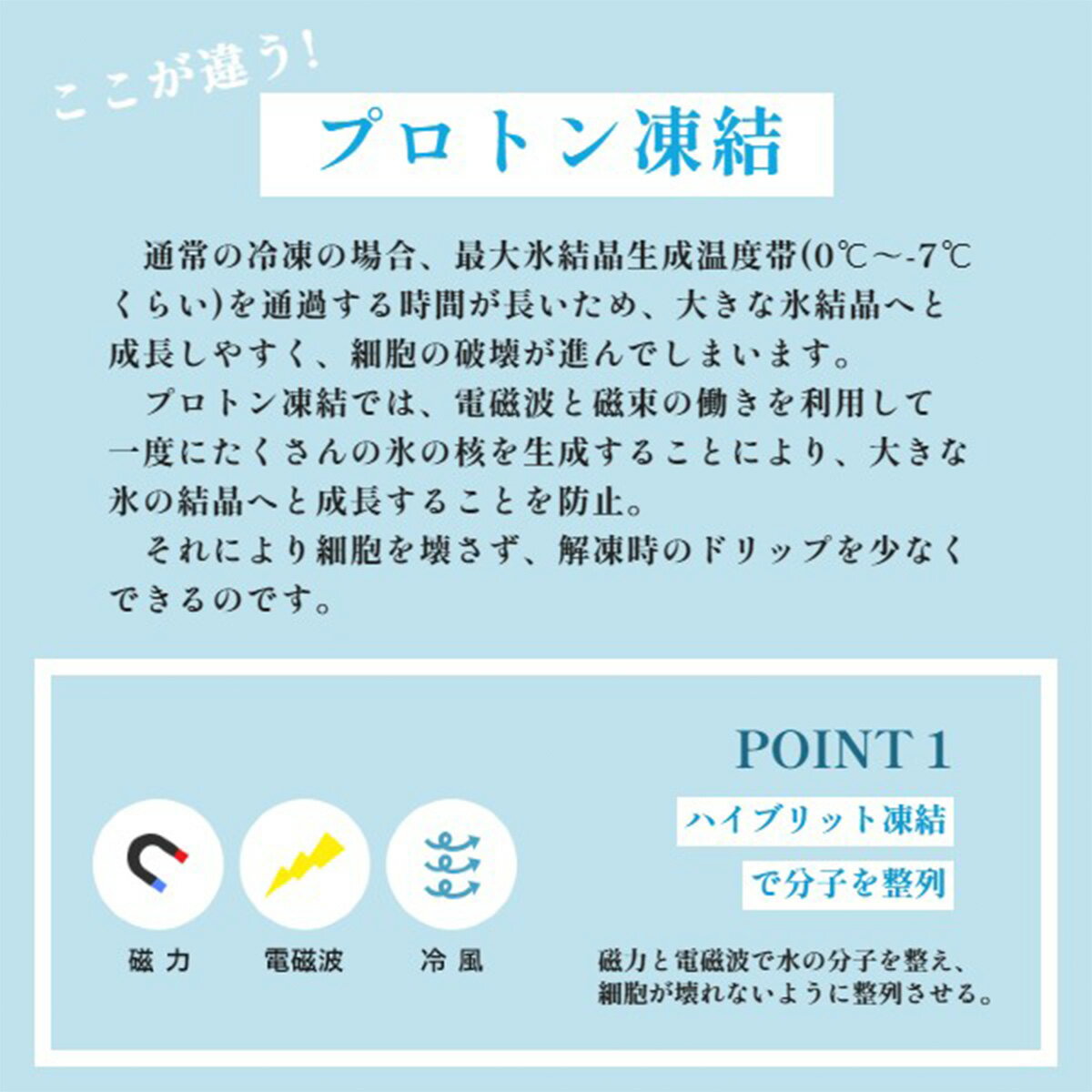 【ふるさと納税】 天然 本まぐろ 赤身＆トロ身 二種盛り 解凍レシピ付 ふるさと納税 まぐろ マグロ 鮪 本マグロ 赤身 天然 冷凍 京都府 福知山市 FCAW006