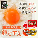【ふるさと納税】 【選べる定期便】<京都丹波産>『卵どすえ』1箱(200個)3ヵ月~12ヵ月 ふるさと納税 卵 玉子 たまご 生卵 タマゴ 温泉卵 卵かけご飯 TKG 卵料理 お菓子づくり オムライス プリン 弁当 3ヵ月 6ヵ月 12ヵ月 国産 京都 福知山 京都府 福知山市