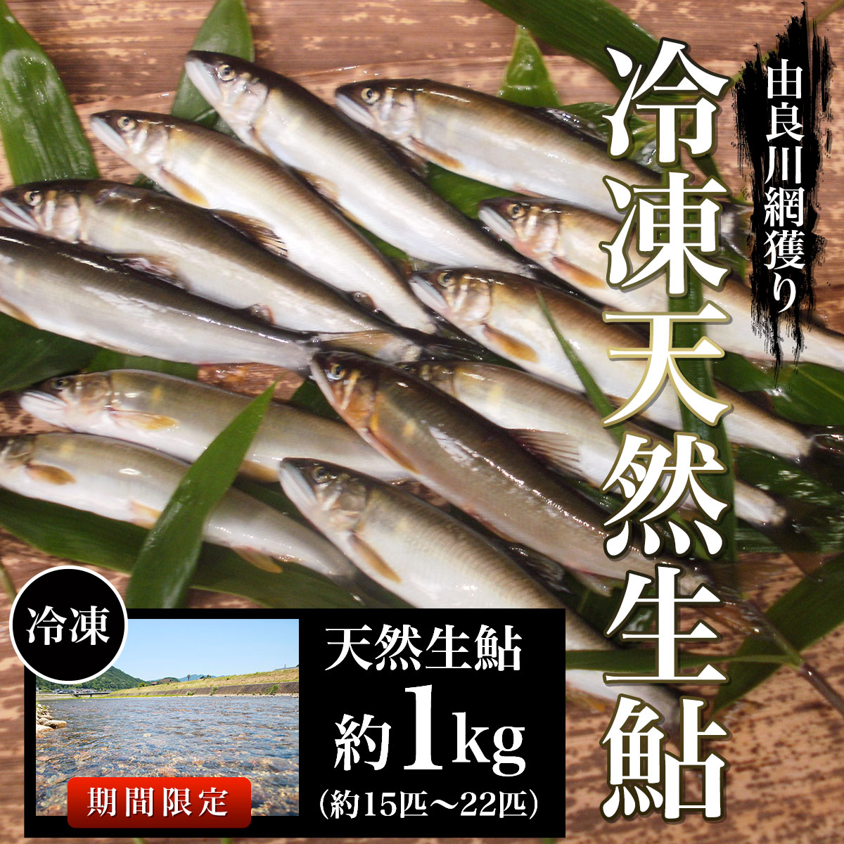 [2024年7月〜発送開始]由良川の冷凍天然生鮎 約1kg[網獲り](約15匹〜22匹)ふるさと納税 鮎 あゆ 天然 天然生鮎 生鮎 アユ 塩焼き 天然鮎 天然あゆ 天然アユ 川魚 由良川 京都府 福知山市