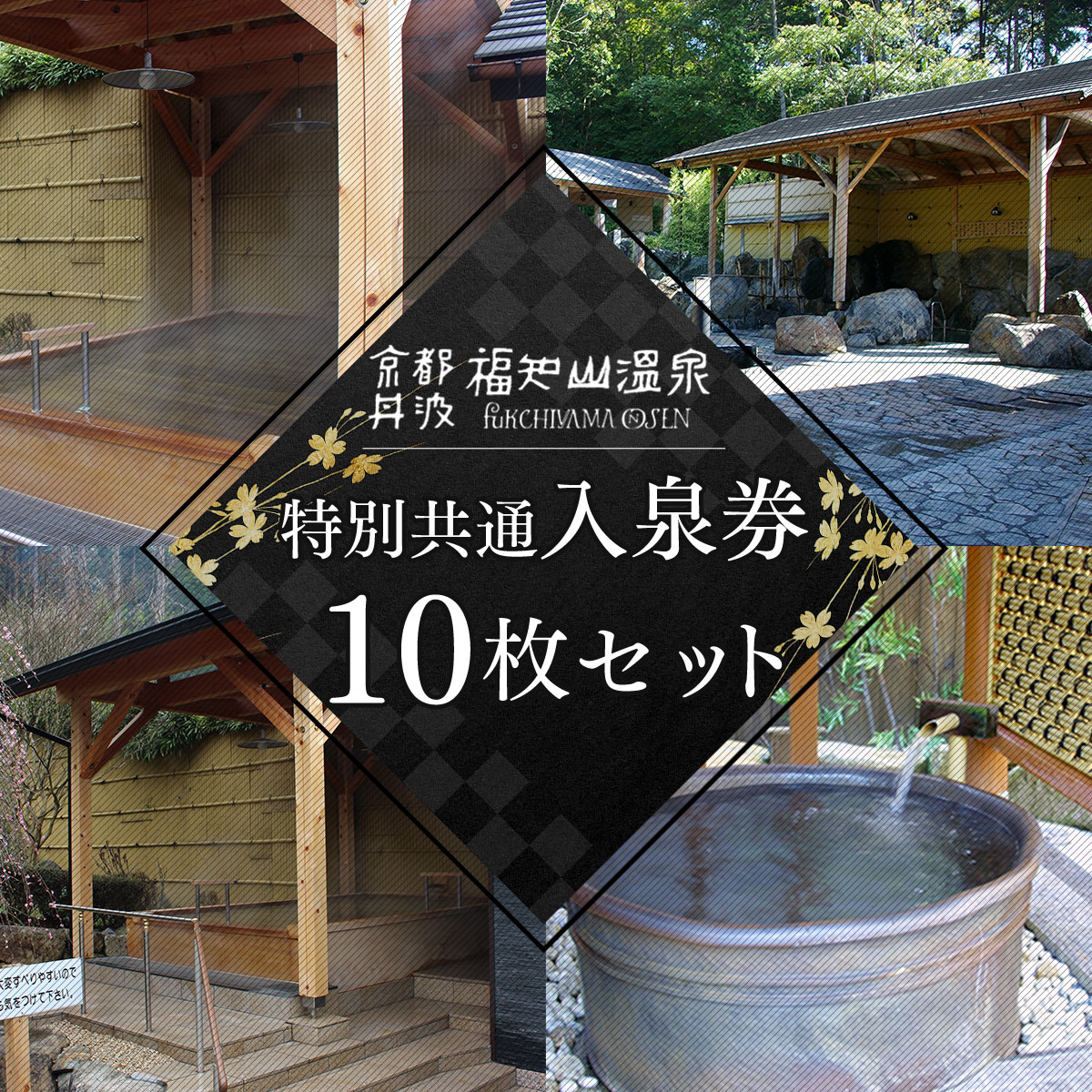 ＜福知山温泉＞特別共通入泉券10枚セット ふるさと納税 福知山温泉 温泉 京都府 福知山市 FCCT001