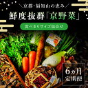 25位! 口コミ数「0件」評価「0」 【6ヵ月定期便】鮮度抜群「京野菜」　食べきりサイズ詰合せ ふるさと納税 京野菜 野菜 新鮮 食べきり 詰合せ 定期便 6か月 京都府 福知･･･ 