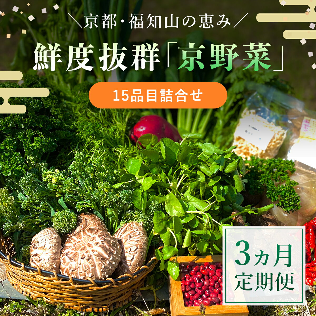 【ふるさと納税】 【3ヵ月定期便】鮮度抜群「京野菜」15品目詰合せ ふるさと納税 京野菜 野菜 新鮮 15品目 詰合せ 定期便 3か月 京都府 福知山市 FCCM018