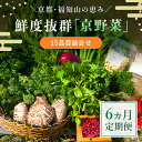 26位! 口コミ数「0件」評価「0」 【6ヵ月定期便】鮮度抜群「京野菜」15品目詰合せ ふるさと納税 京野菜 野菜 新鮮 15品目 詰合せ 定期便 6か月 京都府 福知山市 F･･･ 