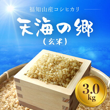 福知山産コシヒカリ『天海の郷』天空に広がる天海の郷　3kg（玄米）ふるさと納税 こめ コメ 米 コシヒカリ こしひかり 玄米 おいしい 美味しい 美容 健康 天空 雲海 天海の郷 京都府 福知山市 FCCM012