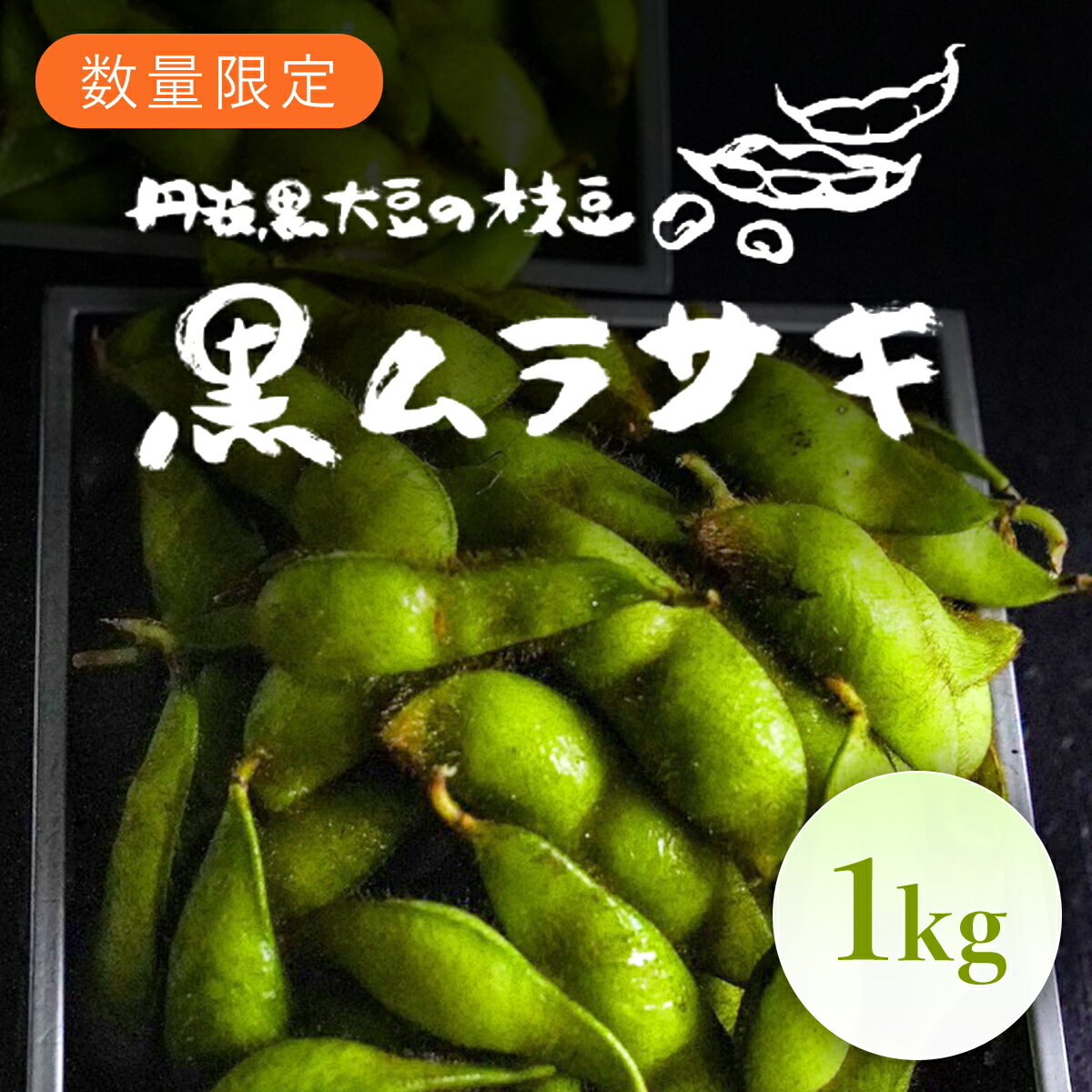 [先行予約]丹波黒大豆の枝豆「黒ムラサキ」1kg ふるさと納税 京野菜 野菜 京都府 福知山市