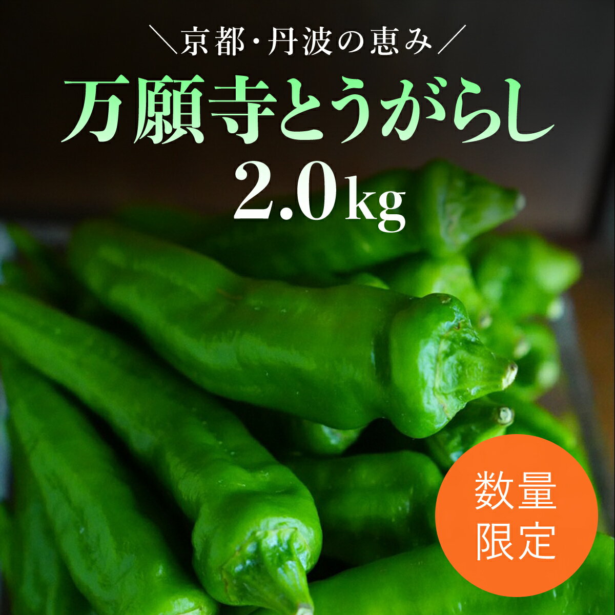 【ふるさと納税】 【先行予約】万願寺とうがらし2kg ふるさと納税 京野菜 野菜 万願寺とうがらし 京都..