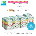 【ふるさと納税】【選べる配送月】スコッティ ティシュー フラワーボックス 250組 60箱 (1ケース5箱×12パック) ボックスティッシュ 箱 ティッシュ ティシュー 長持ち リピート 高品質 素敵 保管 クレシア ティッシュペーパー 日用品 生活必需品 まとめ買い 京都府 FCAS004