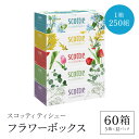 スコッティティシューフラワーボックス250組60箱(1ケース5箱×12パック) 箱ティッシュ ティッシュ ティシュー ボックス 日本製紙クレシア ティッシュペーパー 日用品 日用雑貨 消耗品 生活必需品 まとめ買い 京都府 福知山市 FCAS004