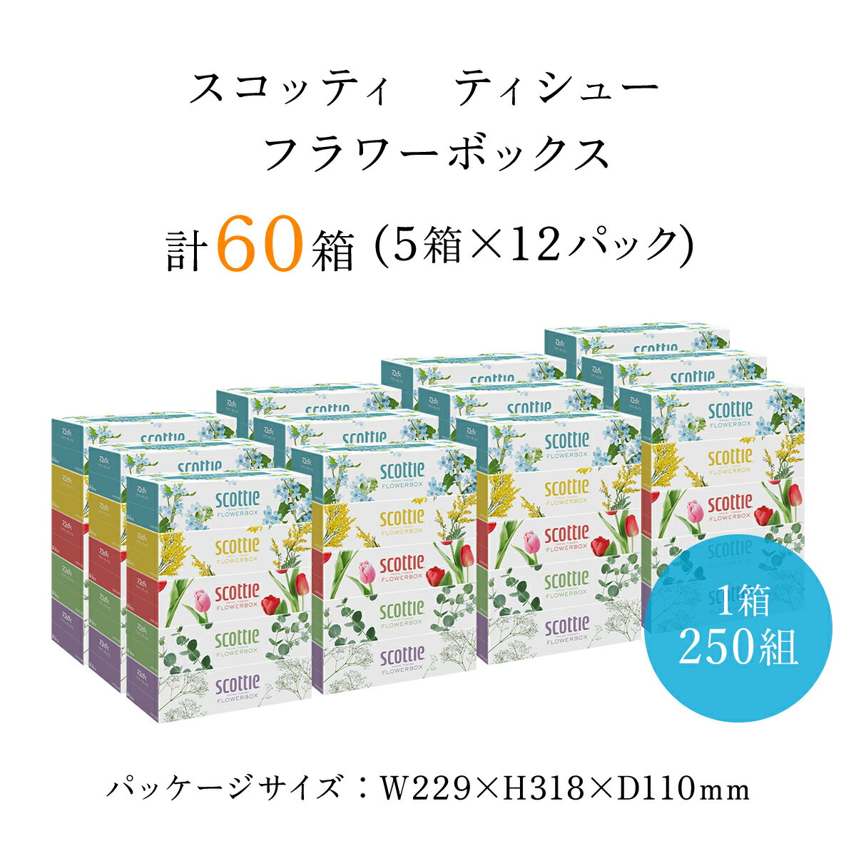 ティッシュ・トイレットペーパー(ティッシュペーパー)人気ランク18位　口コミ数「1件」評価「5」「【ふるさと納税】値下げしました！【ボックスティッシュ】スコッティティシューフラワーボックス250組60箱(1ケース5箱×12パック) 箱ティッシュ ティッシュ ティシュー ボックス 日本製紙クレシア ティッシュペーパー 日用品 日用雑貨 消耗品 生活必需品 まとめ買い FCAS004」