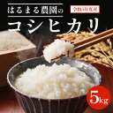 5位! 口コミ数「0件」評価「0」 はるまる農園のコシヒカリ（令和5年度）5kgふるさと納税 米 精米 コシヒカリ 特別栽培米 5kg 京都府 福知山市 FCCN001