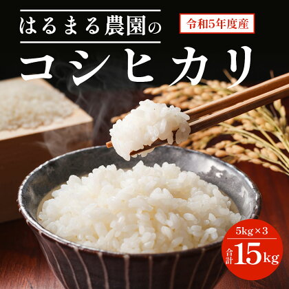 はるまる農園のコシヒカリ（令和5年度）5kg×3　合計15kgふるさと納税 米 精米 コシヒカリ 特別栽培米 15kg 京都府 福知山市 FCCN003