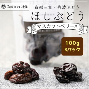 【ふるさと納税】 京都三和・丹波ぶどう<マスカットベリーA>ほしぶどう(ドライ) 100g 3パック / ふるさと納税 ドライフルーツ ほしぶどう 干しブドウ レーズン 三和ぶどう マスカットベリーA 100g 3パック 手作り 三和町 特産 丹波 京都府 福知山市 FCCO008