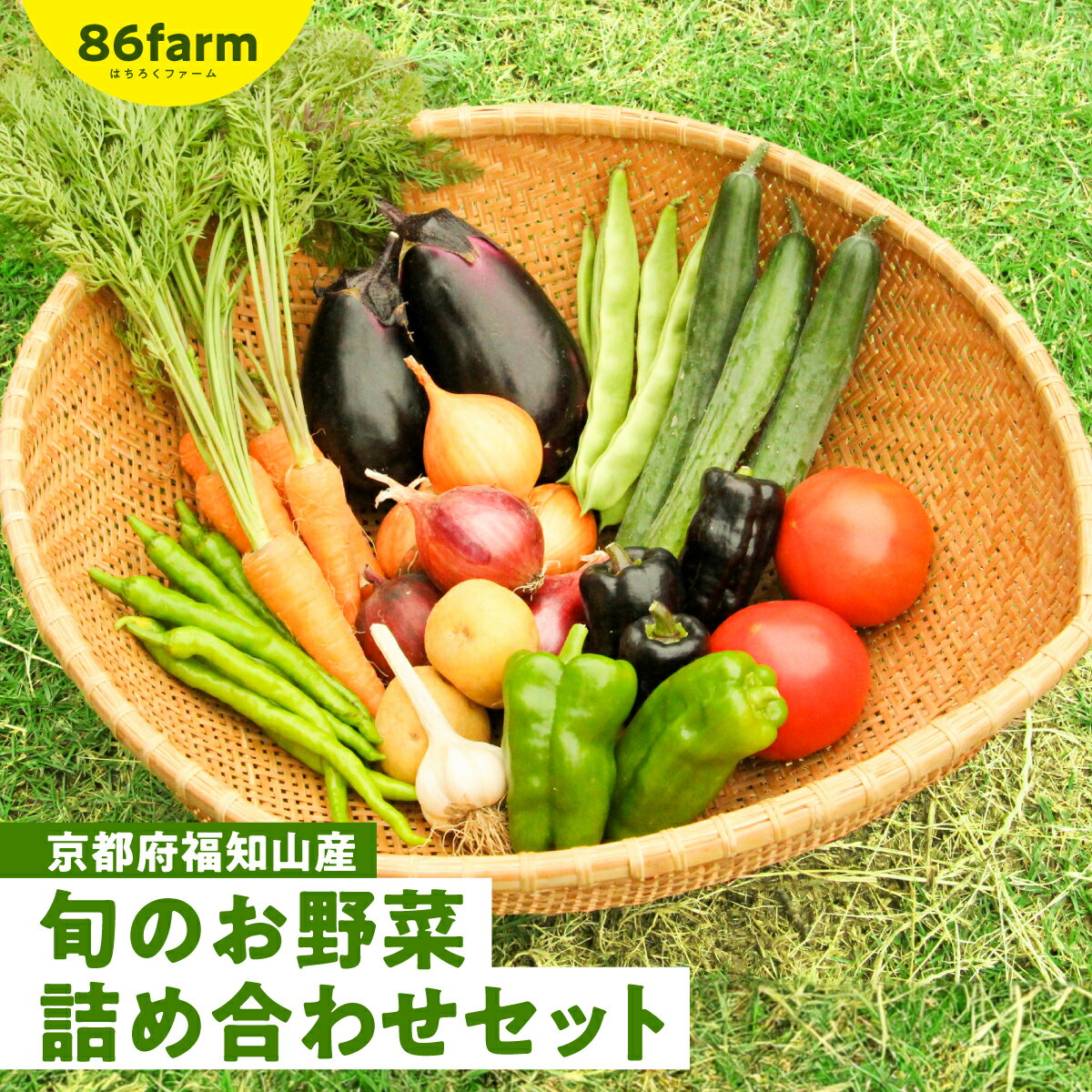 京都府福知山産 旬のお野菜詰め合わせセット ふるさと納税 旬の野菜 詰め合わせ セット 栽培期間中農薬 肥料不使用 京都府 福知山市