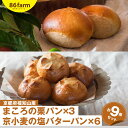 【ふるさと納税】【10月31日まで!】まころの栗パン3個・京小麦の塩バターパン6個セット / パン ぱん 栗パン 丹波 丹波栗 大粒 渋皮煮 塩バターパン 京小...
