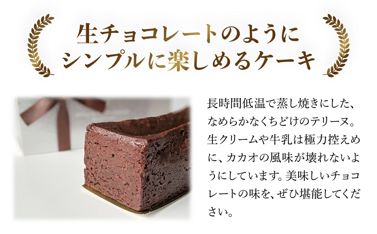 【ふるさと納税】洋菓子マウンテン　テリーヌ / スイーツ 洋菓子 チョコレート ショコラ ショコラティエ テリーヌ 長時間低温 蒸し焼き カカオの風味 なめらか ギフト プレゼント 福知山市 京都府 FCEA004