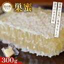 【ふるさと納税】巣蜜(コムハニー) 約300g 巣蜜 コムハニー ハチミツ はちみつ ハニー honey 国産 甘い 甘味 真空パック 数量限定 京都府 福知山...