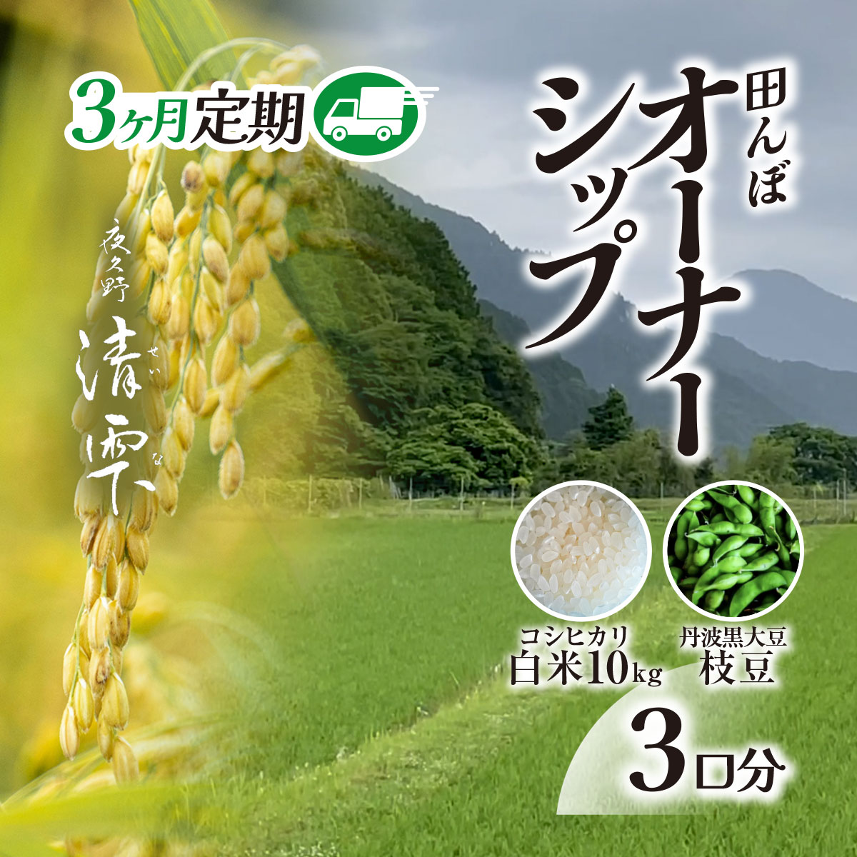 【ふるさと納税】<令和7年9月末より発送!>【3ヶ月定期】田んぼオーナーシップ3口分 清雫 白米10kg+黒ムラサキ(丹波黒大豆の枝豆)/ ふるさと納税 田んぼ オーナー制度 米 白米 令和7年度産 先行 10kg 3回 収穫 夜久野 京都 京都府 福知山 FCDB010