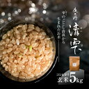 【ふるさと納税】<令和7年9月末より発送予定!>京都夜久野産 清雫(せいな) コシヒカリ<玄米5kg>/ 令和7年度産 先行 5kg 収穫 玄米 夜久野 京都 京都府 福知山 FCDB017