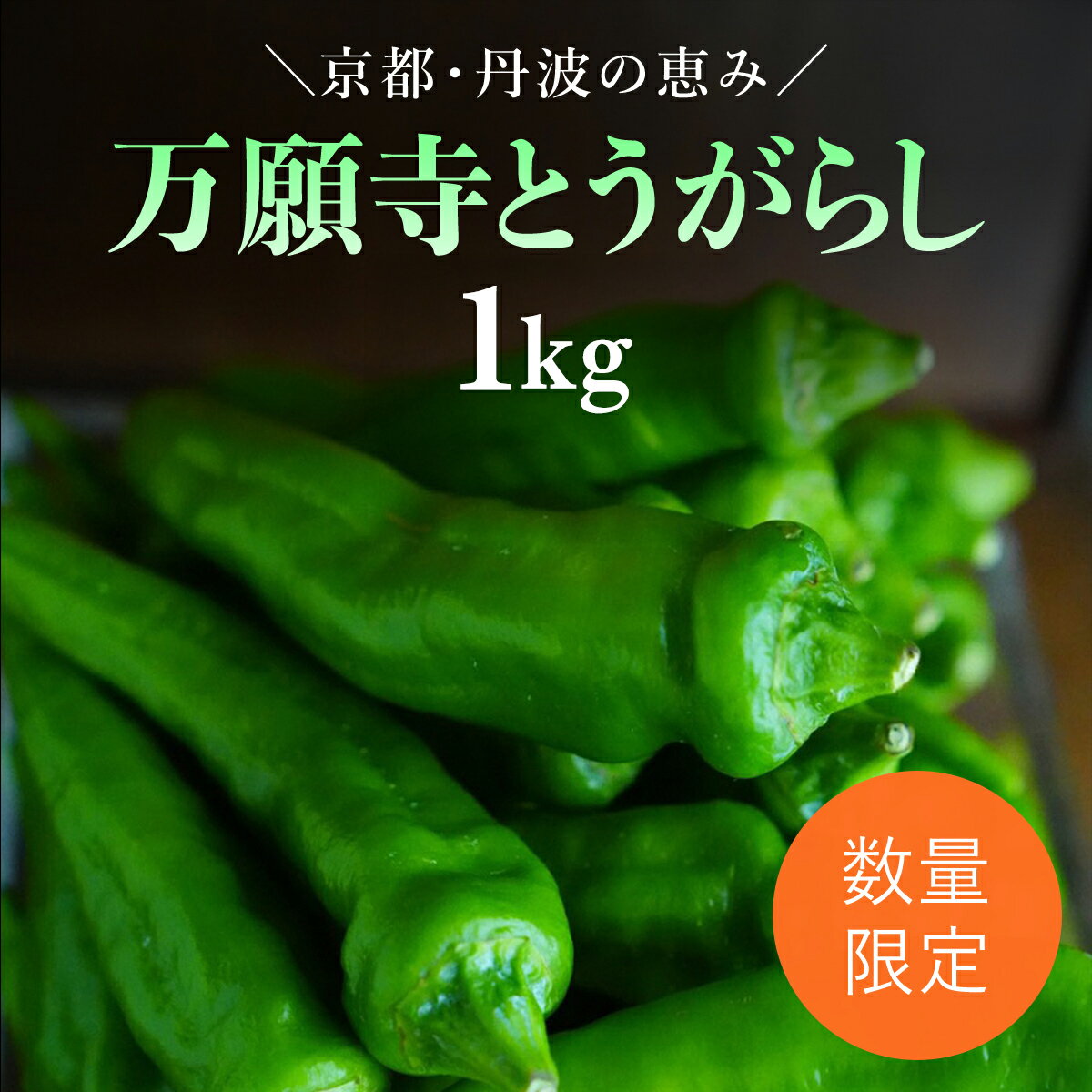【ふるさと納税】 【2025年6月下旬発送開始！】万願寺とうがらし 1kg / ふるさと納税 京野菜 野菜 旬の野菜 万願寺とうがらし 伝統野菜 京都 京都府 福知山市 FCDB039