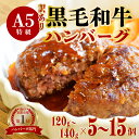 【ふるさと納税】 【訳あり】 黒毛和牛 A5 ハンバーグ 120g〜140g 5個 / 10個 / 15個 / 11個 A5ランク 国産 真空パック 個包装 冷...