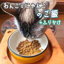 20位! 口コミ数「0件」評価「0」 自然食材 ペットフード 3袋 お魚ふりかけ1袋付 安心安全 犬猫用 パウチ レトルト ペット用品 ワンコとニャンコのご飯 【送料無料】