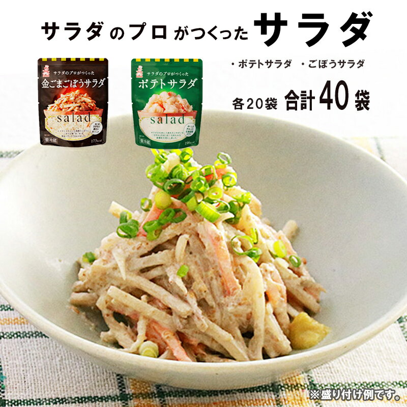 【ふるさと納税】 サラダのプロがつくった サラダ 2種類 セット 40袋 個包装 ポテトサラダ ごぼうサラダ 【送料無料】