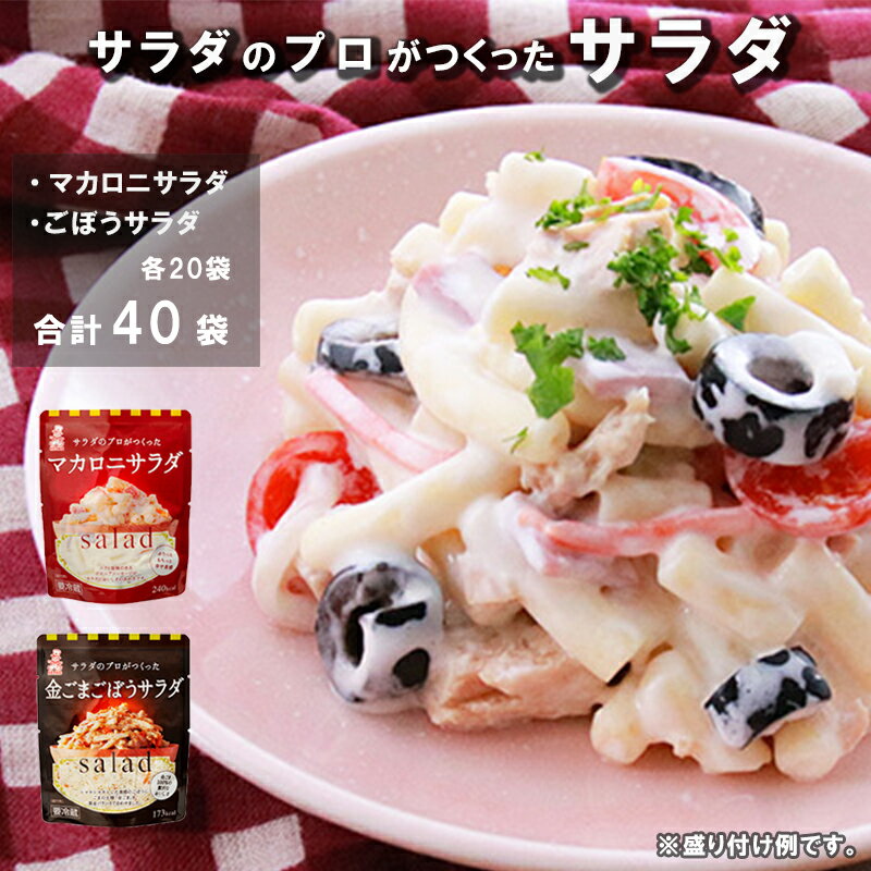  サラダのプロがつくった サラダ 2種類 セット 40袋 個包装 マカロニサラダ ごぼうサラダ 【送料無料】