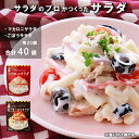 【ふるさと納税】 サラダのプロがつくった サラダ 2種類 セット 40袋 個包装 マカロニサラダ ごぼうサラダ レトルト パウチ 惣菜 サラダ 京都 舞鶴