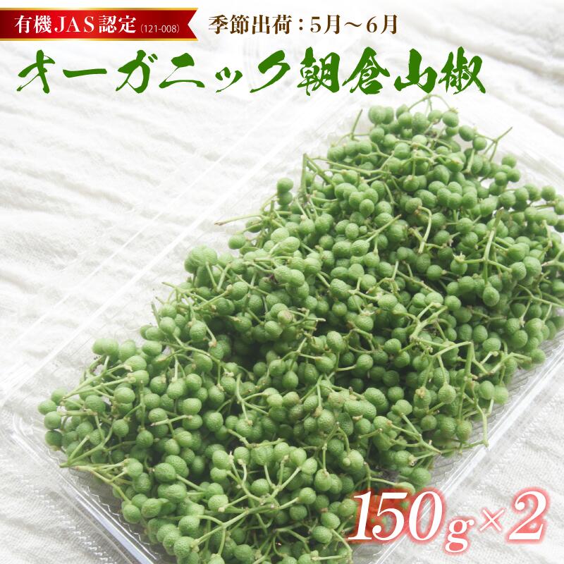 【ふるさと納税】 【2025年初夏発送】 有機 JAS 認定 朝倉山椒 300g (150g×2) : 先行予約 数量限定 京都 舞鶴 山椒 実山椒 生 生鮮 新鮮 採れたて 農家直送 産地直送 佃煮 ちりめん山椒 オーガニック 有機栽培 山椒の実 スパイス 香辛料 【楽天限定】