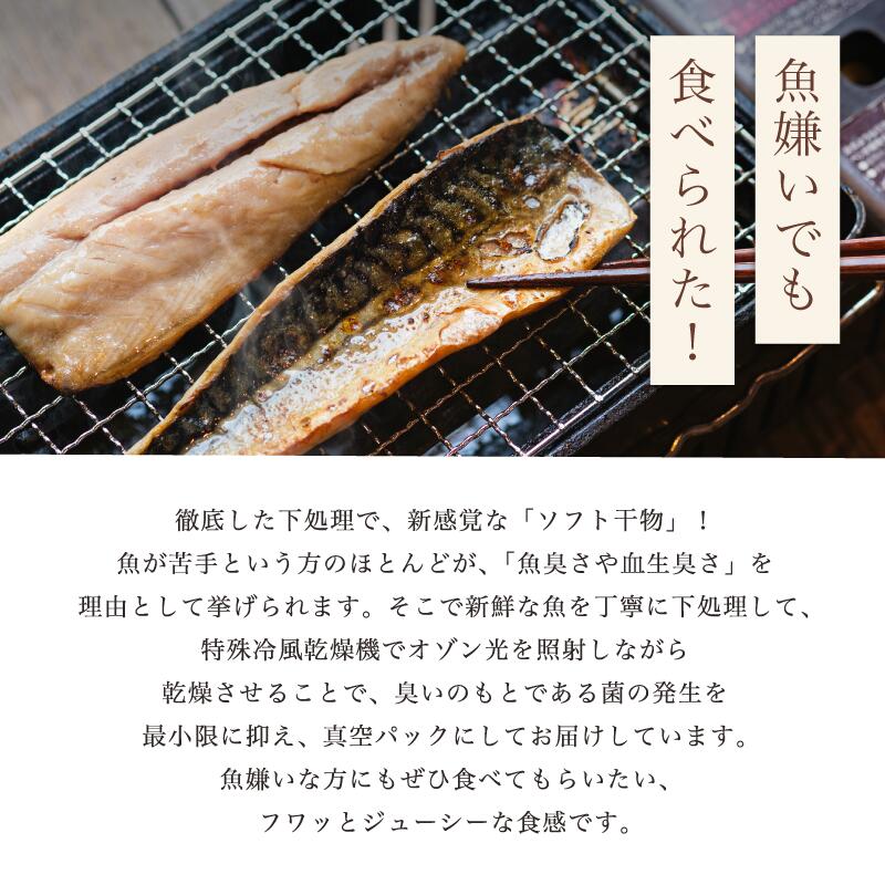 【ふるさと納税】 海の贈り物 干物 盛り合わせ 季節の干物 数種類 【送料無料】