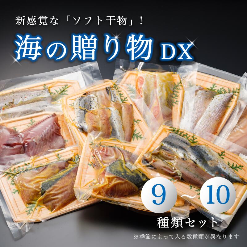 海の贈り物DX 干物 盛り合わせ 豪華版 季節の干物 [送料無料]