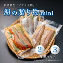 【ふるさと納税】 海の贈り物 mini 干物 盛り合わせ 季節の干物 【送料無料】