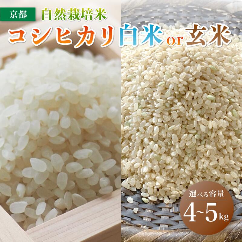 楽天市場】自然栽培 コシヒカリの通販 楽天市場】自然栽培 コシヒカリの通販
