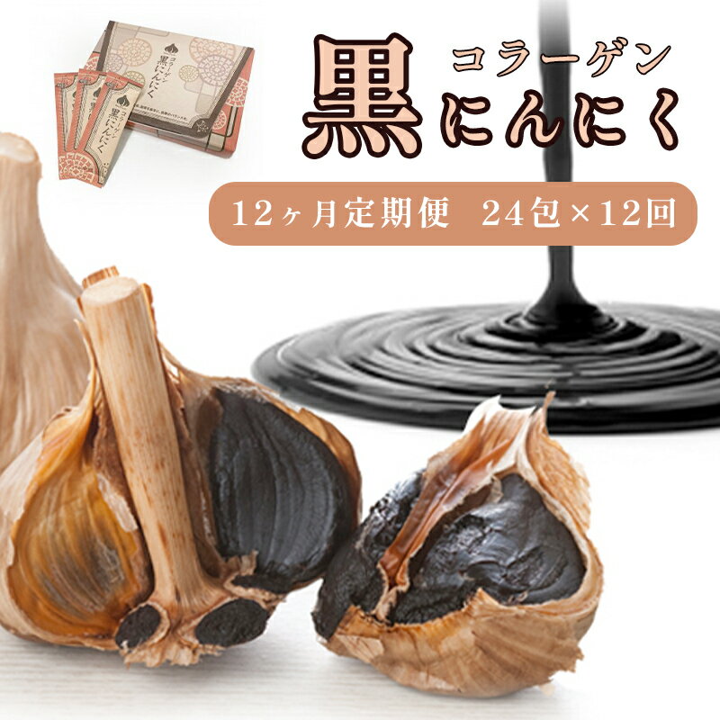 【ふるさと納税】 【12回定期便】 コラーゲン 黒にんにく 24包×12回 12ヶ月 ペースト 大蒜 舞鶴産黒ニンニク 【送料無料】 ギフト サプリ 熟成黒にんにく ニンニク ペースト状 食品 健康 元気