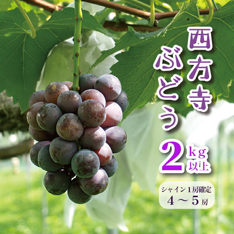 【ふるさと納税】 【9月頃発送開始】 シャインマスカット ピオーネ セット 2kg 以上 4～5 房 ランダム 詰め合わせ セット 葡萄 ぶどう ..
