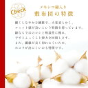京都府舞鶴市の画像3