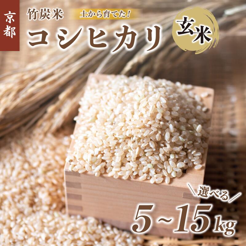 【ふるさと納税】 特別栽培米 竹炭米 コシヒカリ 5kg 玄