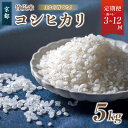 【ふるさと納税】 【9月下旬発送 新米 】 【 定期便 】 特別栽培米 竹炭米 精米 5kg × 回数 3回 6回 12回 令和7年産 こしひかり 舞鶴竹炭米 ...