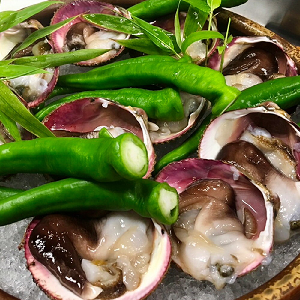 【ふるさと納税】 旬魚旬菜美味口福コース ペアチケット 京舞鶴 池屋 和食 食事券 【送料無料】 3