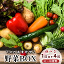 【ふるさと納税】 京都 舞鶴 季節の野菜BOX 詰め合せ セット 6〜8種類 1回 / 4回定期便 : 季節の野菜 旬の野菜 旬野菜 新鮮 京野菜 食品 冷蔵 ...