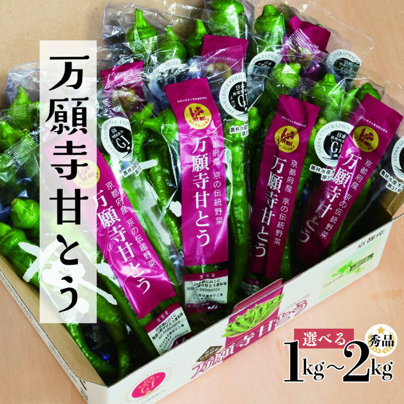 野菜・きのこ(その他野菜)人気ランク25位　口コミ数「4件」評価「4.75」「【ふるさと納税】 万願寺甘とう 化粧箱入 秀品 1kg～2kg 【送料無料】 【2024年夏発送分】 京都 舞鶴 野菜 万願寺 万願寺とうがらし 甘とう 辛くない 夏野菜 緑黄色野菜 伝統野菜 京野菜 ピーマン代わり」